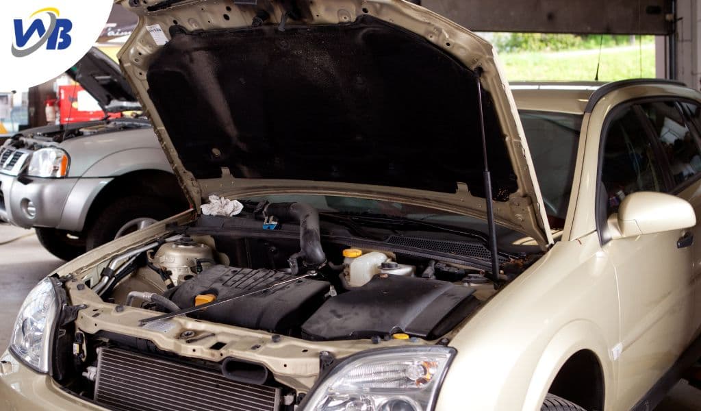Mechanic talking to customer